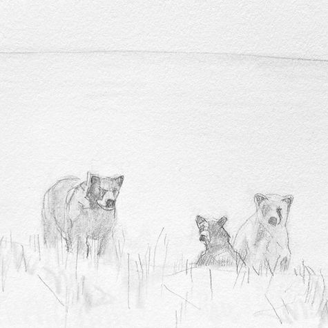クマ　くまの絵　くま　くまの絵　こぐま　こぐまの絵　bear art