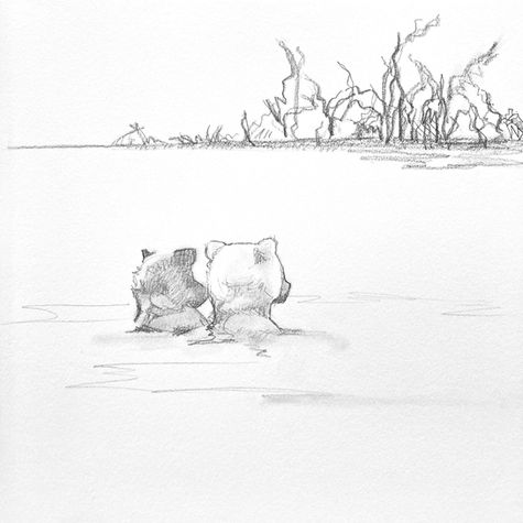 クマ　くまの絵　くま　くまの絵　こぐま　こぐまの絵　bear art