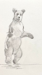 A brown bear standing on her hind legs, raising her front paws in a gesture.