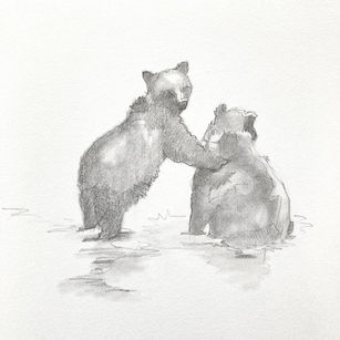 クマ　くまの絵　くま　くまの絵　こぐま　こぐまの絵　bear art