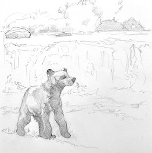 クマ　くまの絵　くま　くまの絵　こぐま　こぐまの絵　bear art