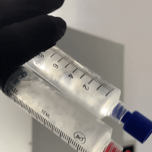 cultivo-de-cogumelos-elemental-fungi (2).gif