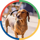 Catavento da Pipa - Day Use