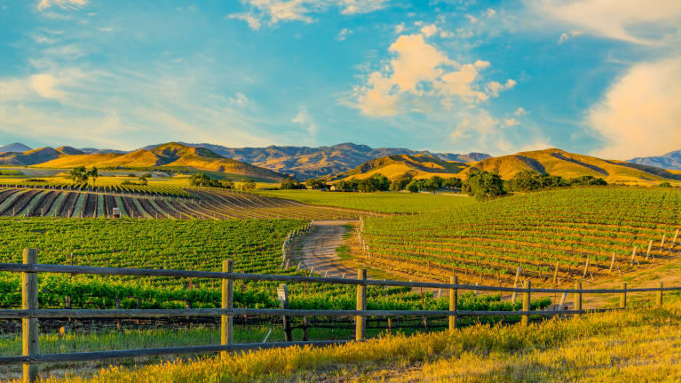 Nov 2020: Shopping Locally