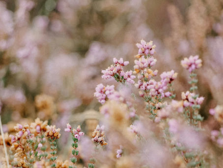 What is Pattern Grading? A Beginners Guide
