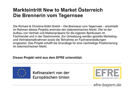 EU-Plakat_DIN_A3.png