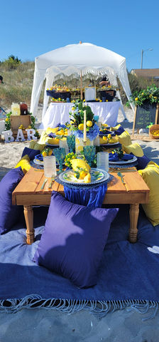 Elegant Beach Picnics