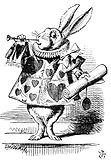 Literary Rabbit.jpg