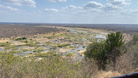 KRUGER SAFARIS