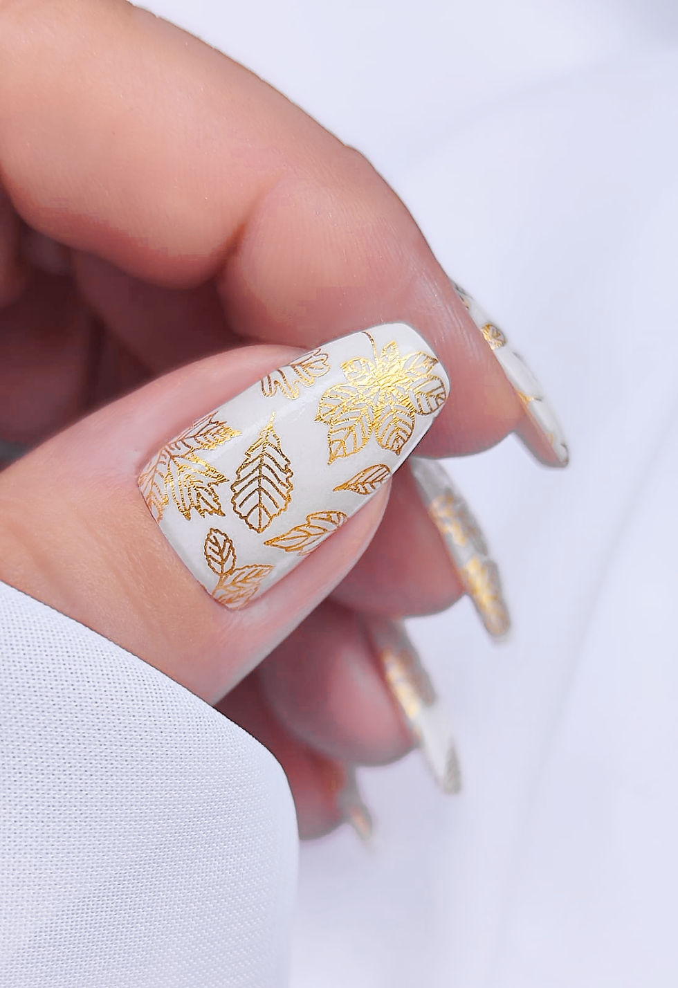 Miniaturbild: Gold-Blattln
