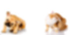 Case review-5.jpg