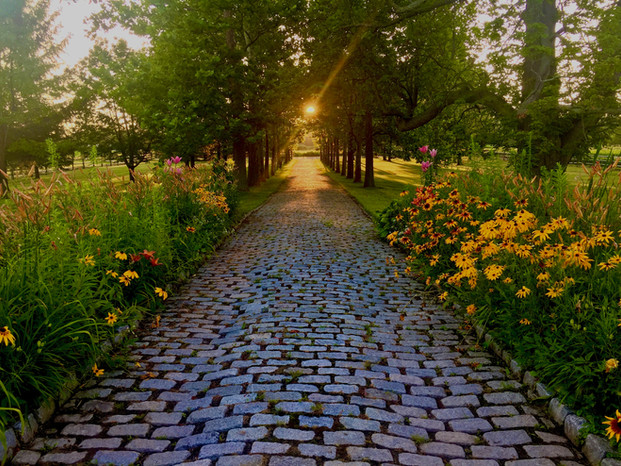 Cobble to 90 sunrise.jpeg