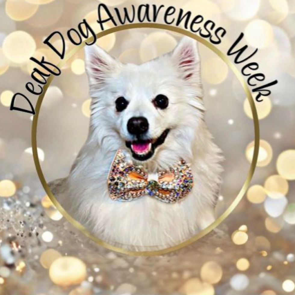 Deaf Dog Awareness Week