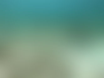 יום אוקיינוסים שמח 🌊