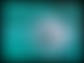 🪼 החלליות היפות של הים 🪼