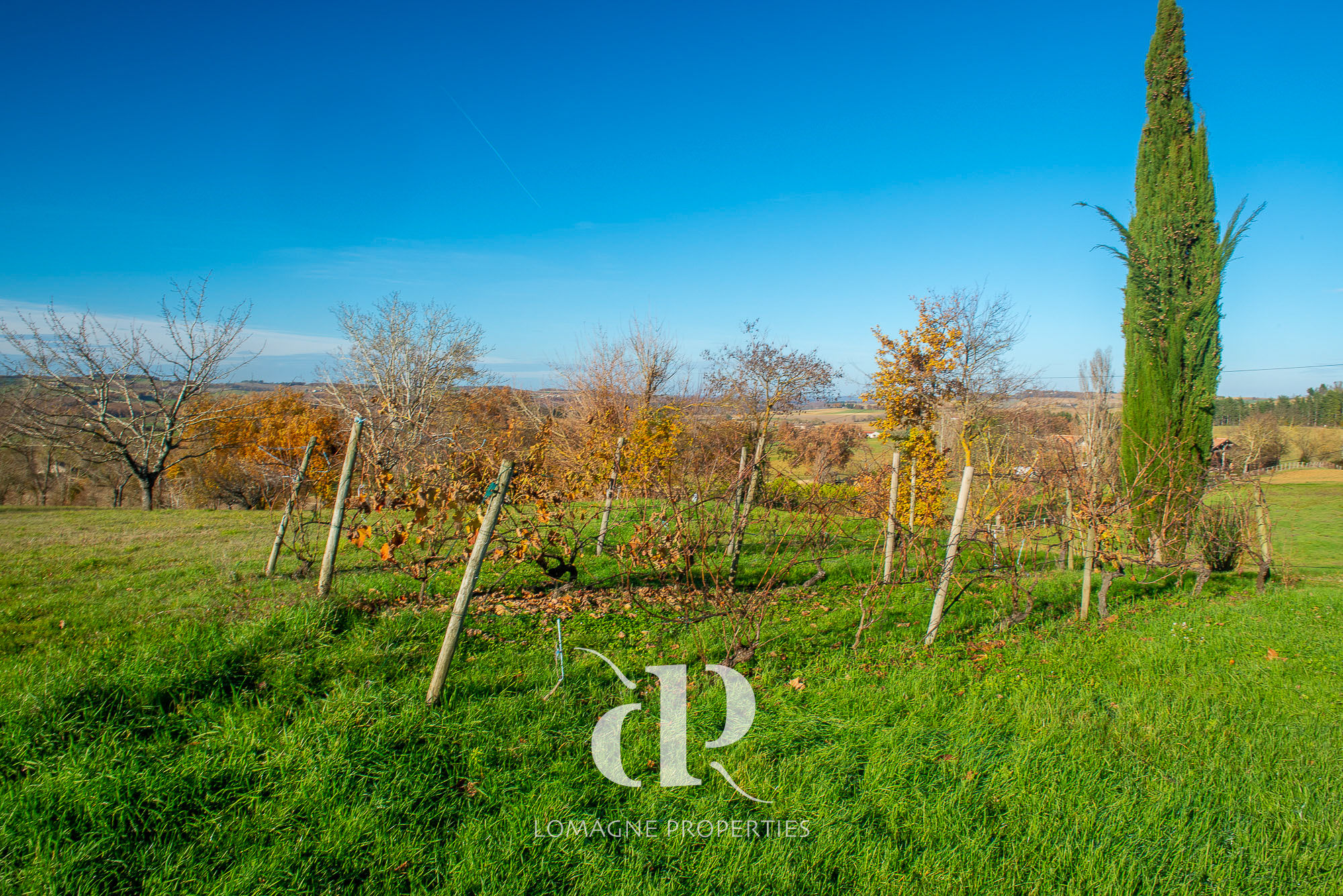 Authentic Gascony Home with Pool, Barn and Guest Cottage in Occitanie, Gers (32) - Image 23