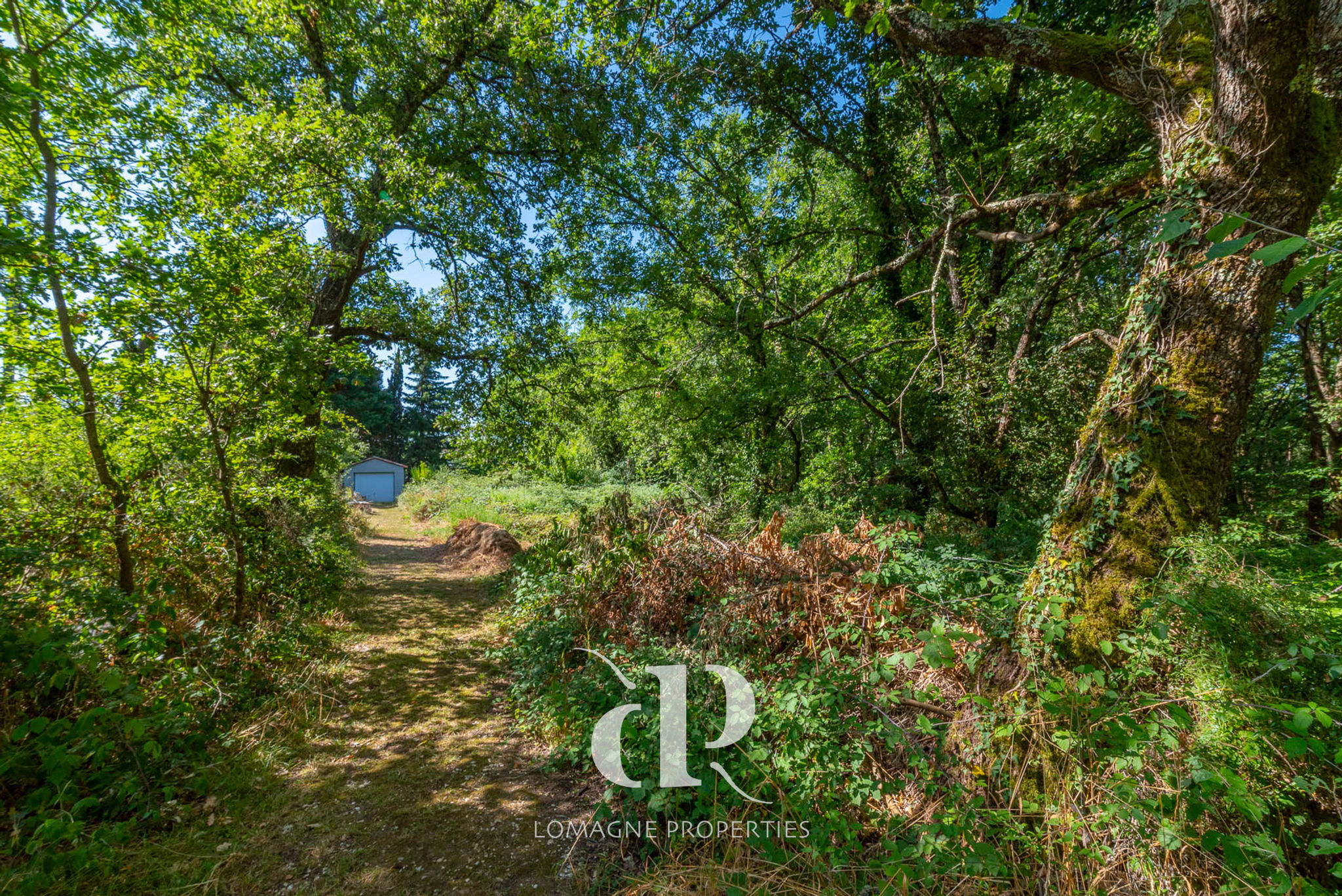 Gardener’s paradise - with Pool, Privacy and Comfy living in Occitanie, Tarn-et-Garonne (82) - Image 25