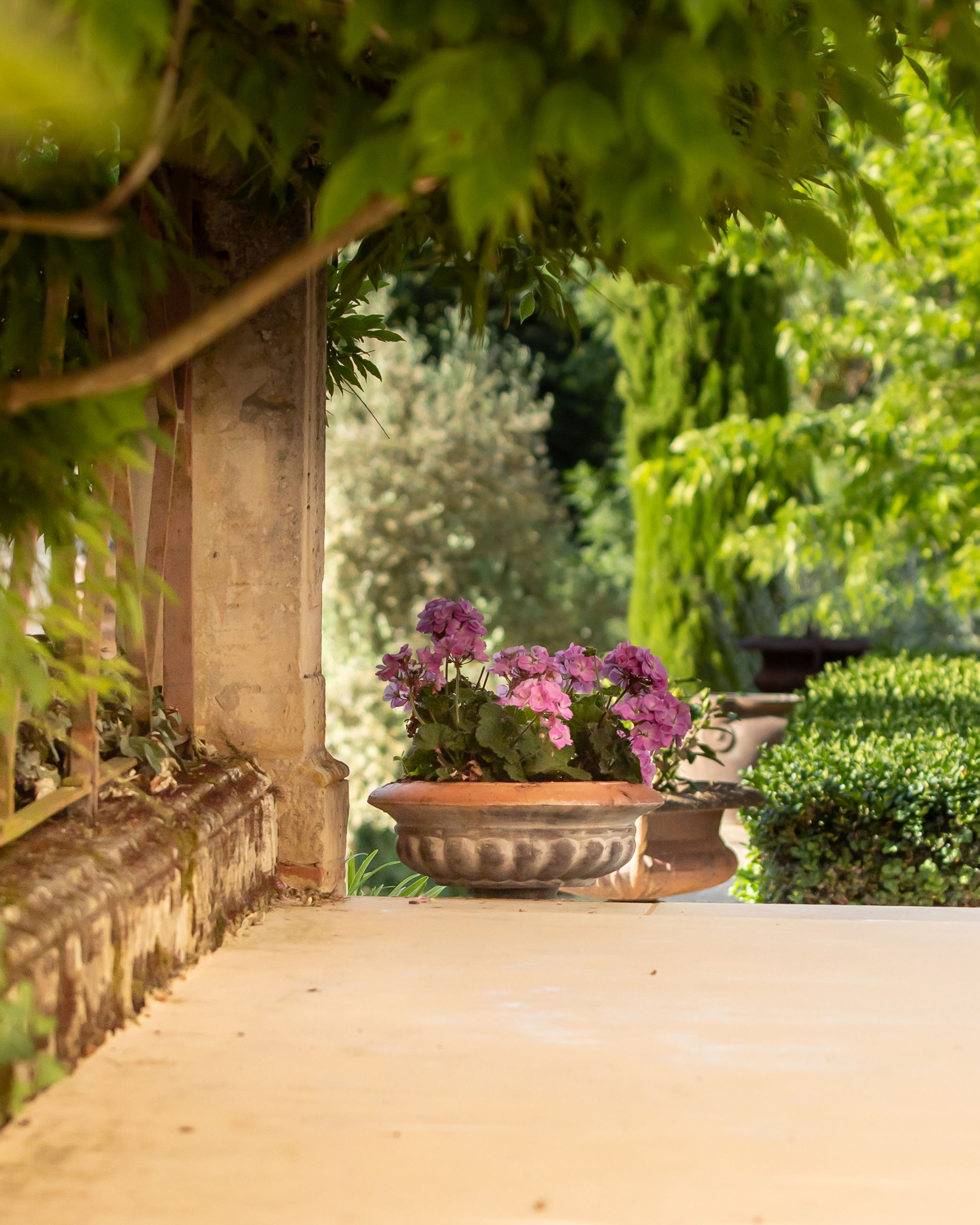An Exceptional Estate in the Heart of Gascony in Occitanie, Gers (32) - Image 20