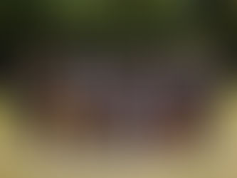 JAGUARES IMEX CONSIGUE EL PASE A LA ETAPA ESTATAL DE LA CONADEMS