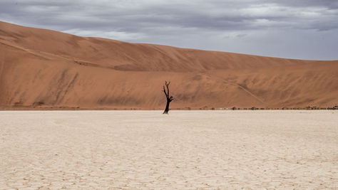識破現代撒但的「走捷徑」提案,找回生命真價值