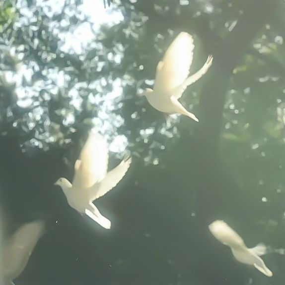 下載.jfif