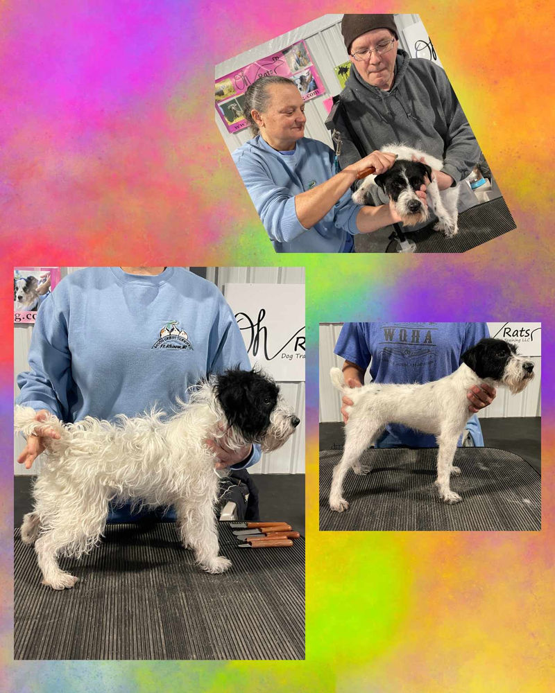 Heather Roozee Grooming Seminar Feb 24, 2024 Watc