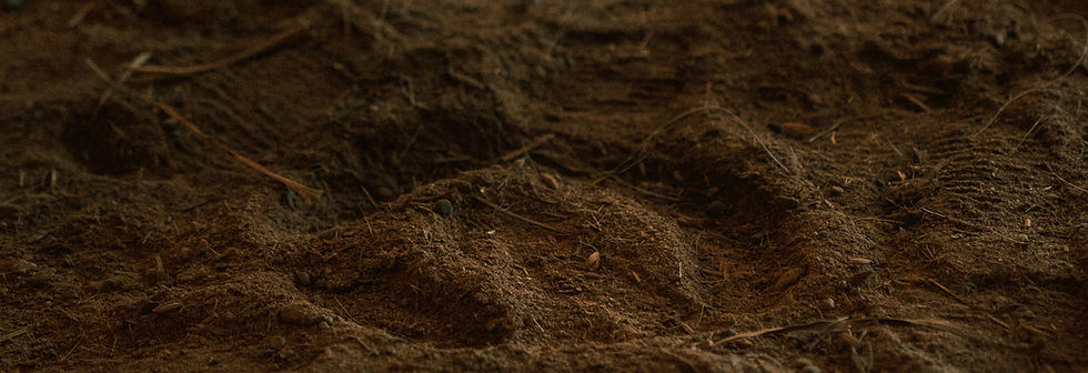 Horse print in the sand