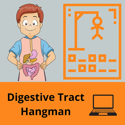 Digestive Tract Hangman Cover.png