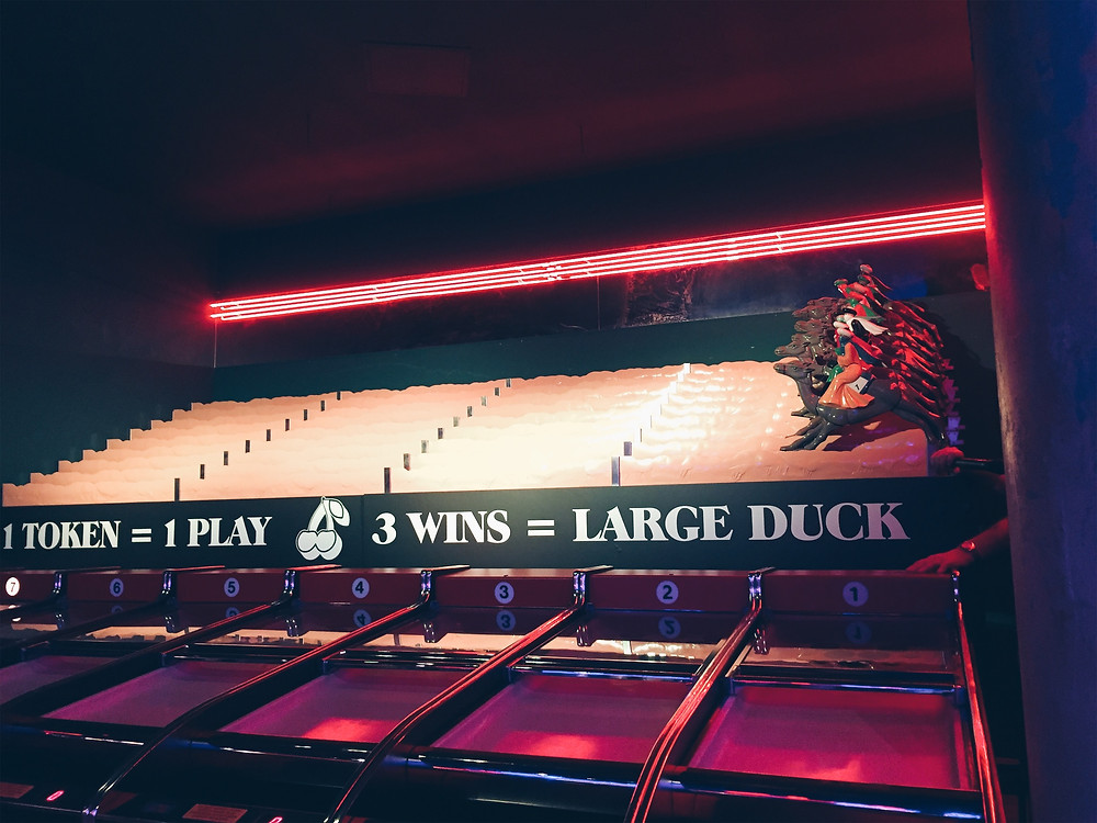 Camel Racing at Penny Lane Nottingham