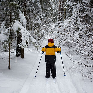 Barn på langrennsski i snødekt skog under museumsparkeventyr.