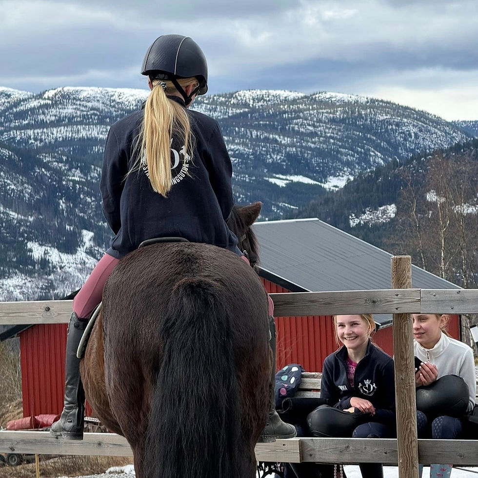 Rytter på hest ser mot snødekte fjell, to barn ser på