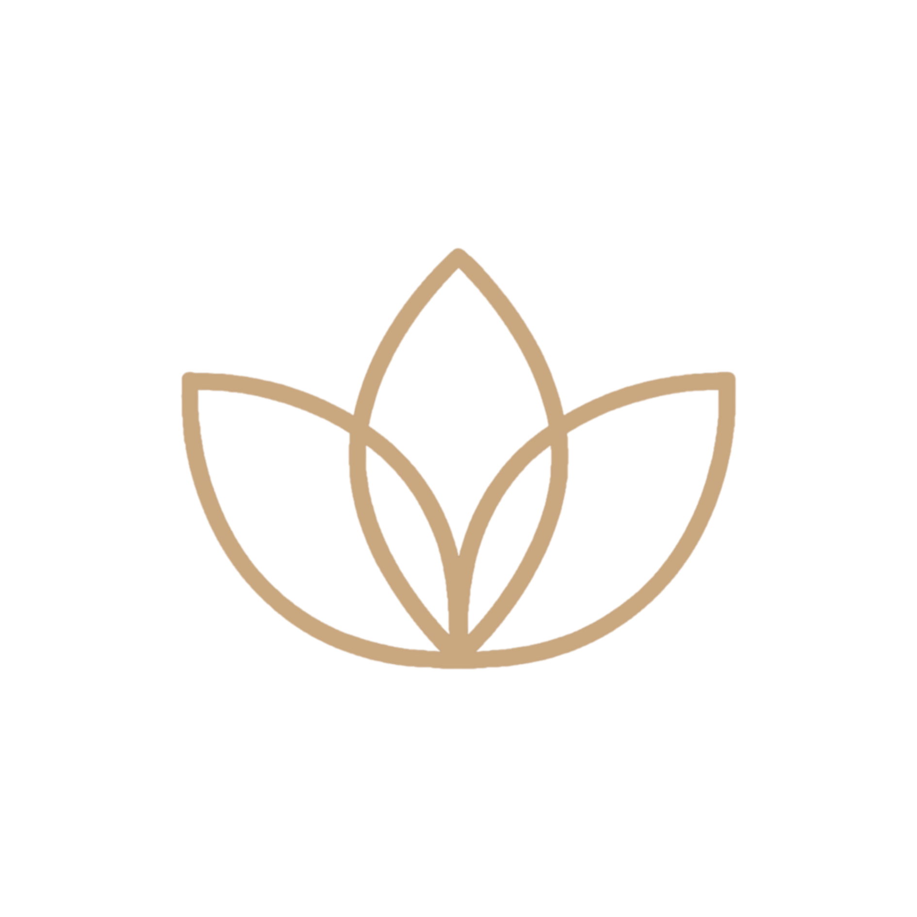 Steinsfjorden Terrasse logo