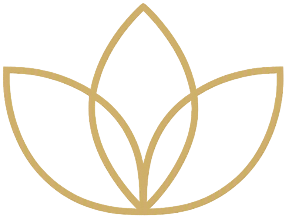 Steinsfjorden Terrasse logo