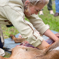 Woman working on deer in tanning course USING THE WHOLE ANIMAL Dr. Theresa Emmerich Kamper