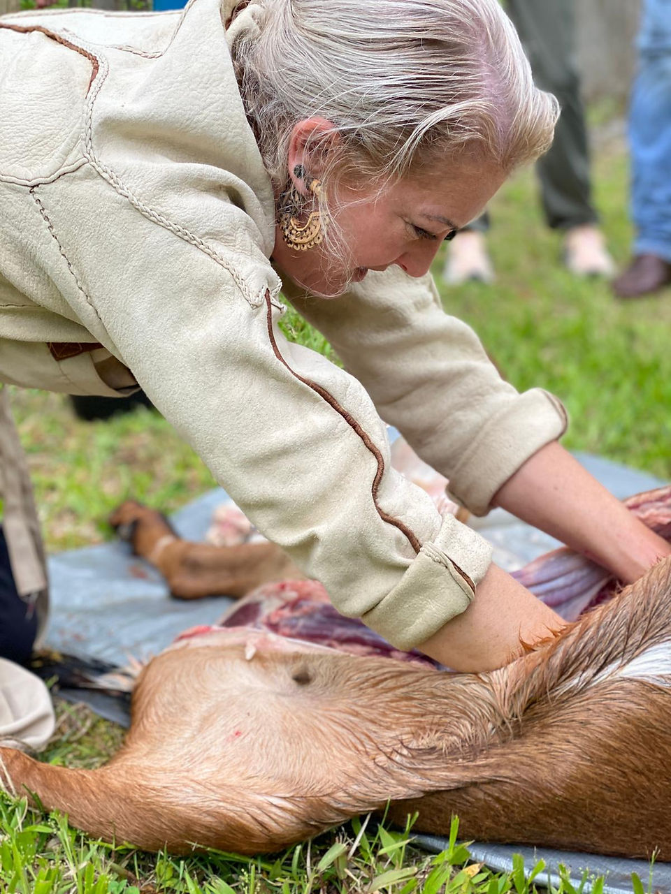Woman tanning deer skin USING THE WHOLE ANIMAL during workshop. Deer skin tanning course.