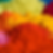 Heaps of yellow, red, pink and orange pigment powder.
