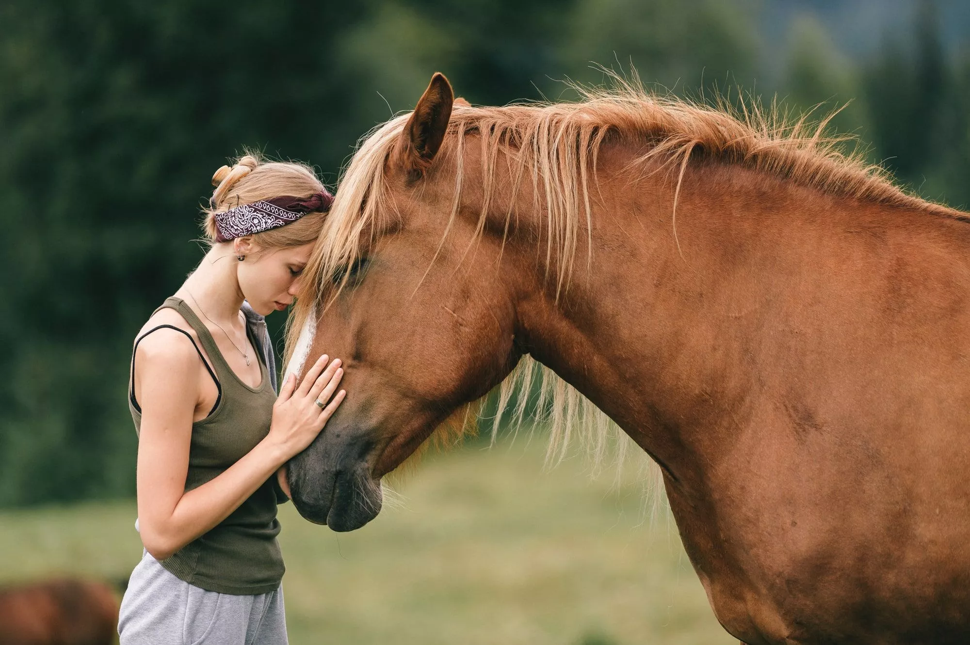 Grief Reigns for adults allows you to share your heart without judgements