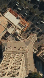 Radinn_Sharks-Reel_0622.gif
