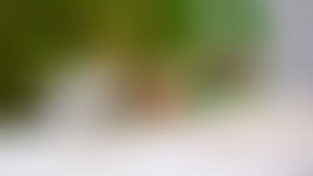 Diocesan, Religious, Eastern, oh my! The different types of priests serving in our communities