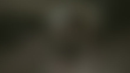 No Matter How Far We Fly, We Always Belong to Our Family