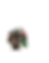 bpfist333.gif.pdf.png