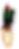flying p.png