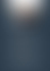 Newsletter Nr. 18/2026