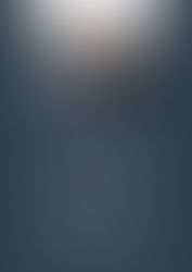 Newsletter Nr. 20/2026