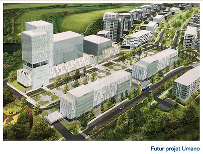 Logements à louer à Lévis lhdg-levis.com