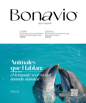 Captura de pantalla 2026-05-05 113118.png