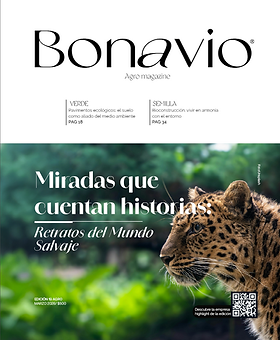 Captura de pantalla 2026-04-08 125744.png