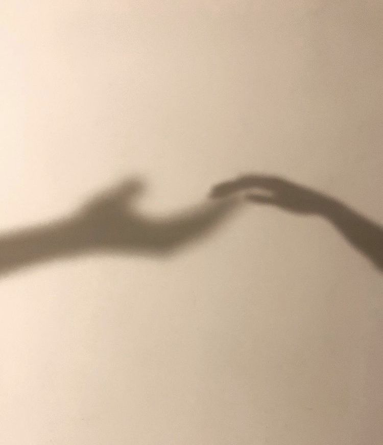 Ombres de deux mains qui se rapprochent sur un mur clair