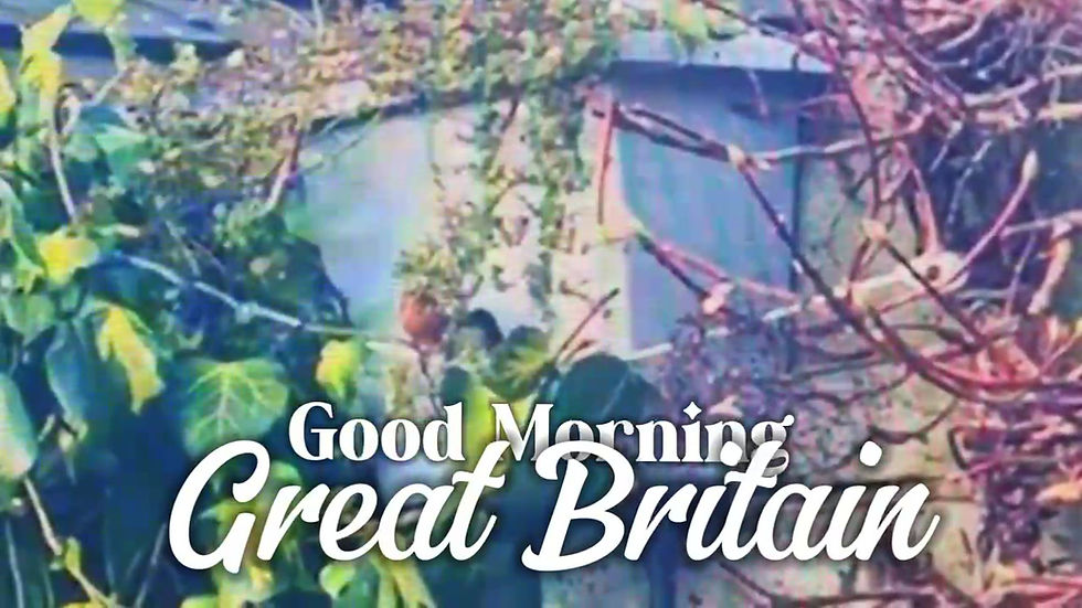 Thumbnail: planter showcase