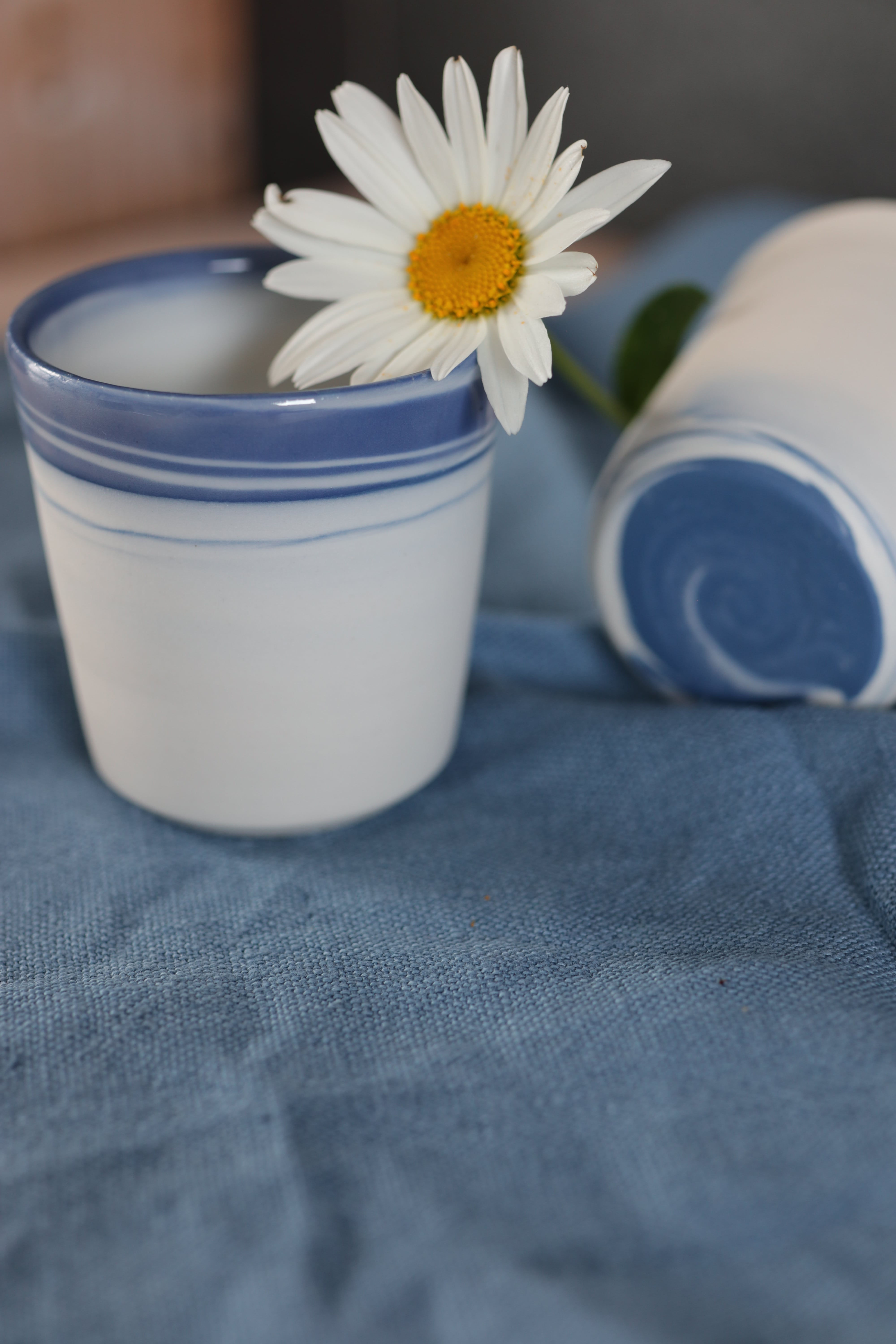 Tasses bleues en porcelaine mélangée